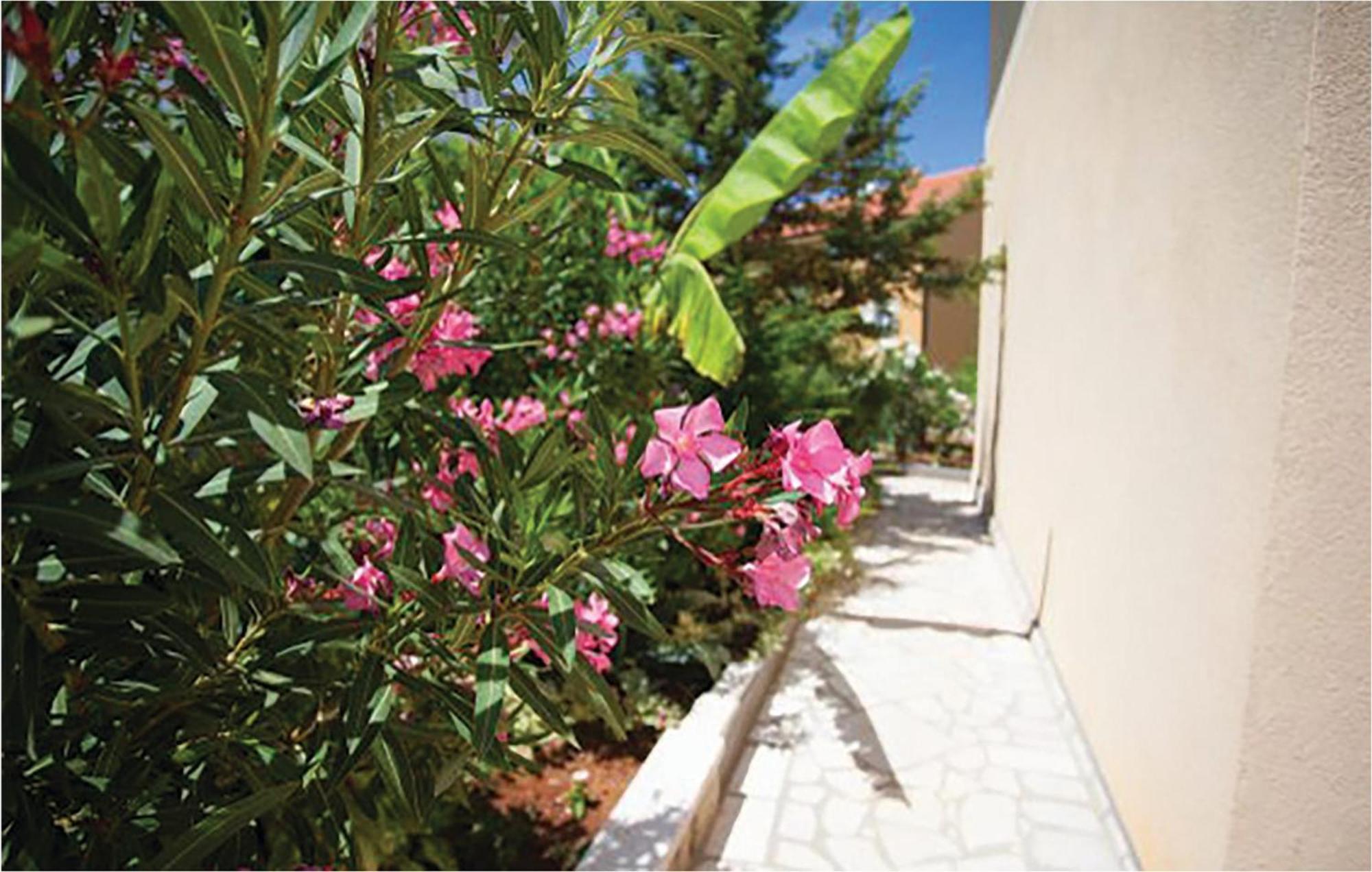 1 Bedroom Beautiful Apartment In Malinska Εξωτερικό φωτογραφία
